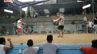 Champion 2 hits sa Teresa
