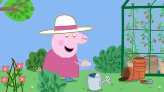 #34 Peppa pig