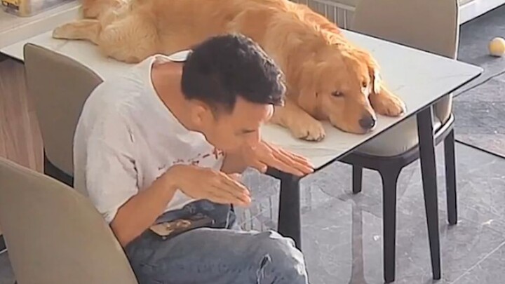 Always stay with me, in the name of puppy