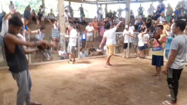 5x winner bulik kelso