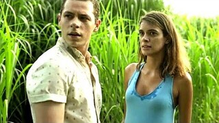 Brother and Sister enter a field of Tall Grass, Only to realize there is No Way Out