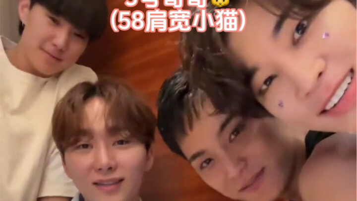 【SEVENTEEN】Para penggila adik (*¯︶¯*) | Kwon Soon-young, Jeong Won-woo, Kim Min-gyu, Boo Seung-kwan