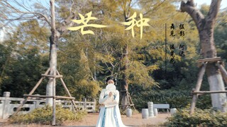 【Văn Thảo Hoa】Grain in Ear~*Nhảy cover Bạch Tiểu Bạch*