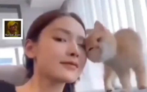 Kontennya terlalu realistis, tidak disarankan untuk ditonton berulang kali.