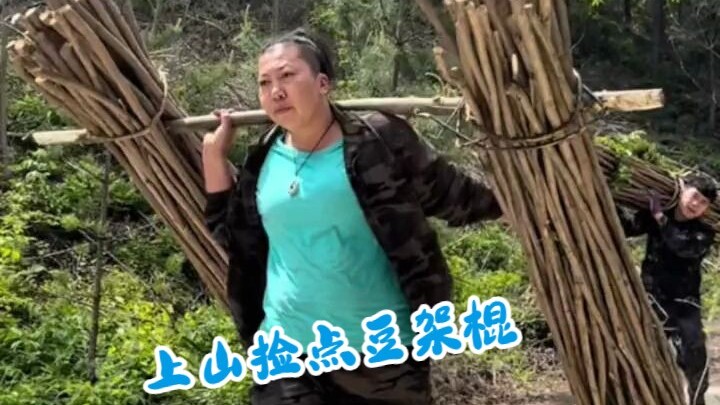 Over twenty yuan wasted! Old Kui made a wooden plaque with gold spray paint, and Sister Yu immediate