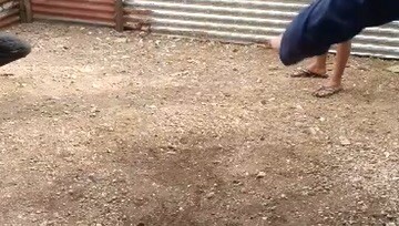 Gold in action