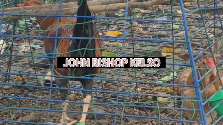 John Bishop Kelso