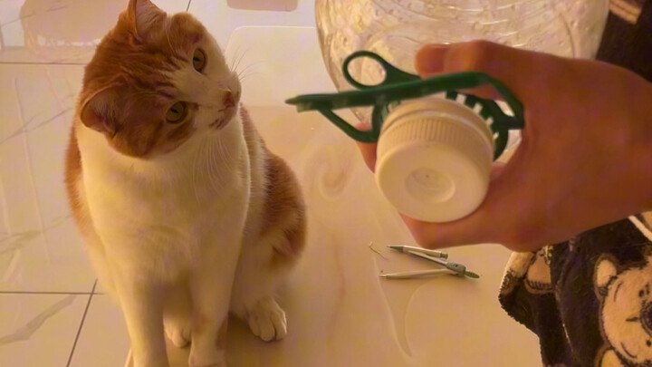 When it comes to drinking water, Sanmao really knows what she’s doing—haha!