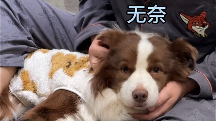 หยูจื่อ: ฉันไม่เอา ขาของคุณมันเมื่อยๆ