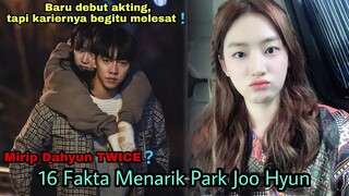 16 Fakta Menarik Park Joo Hyun Pemeran Oh Bong Yi di Mouse