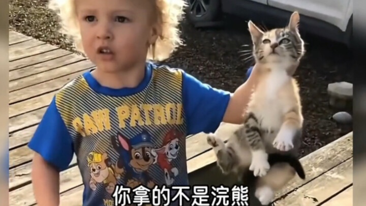 العالم غريب والقطط لطيفة~