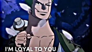 "I Respect Your Captain" Zoro Got Lost Again