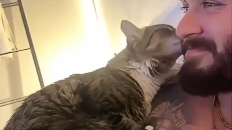 When cats become more possessive than women