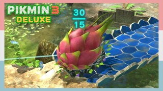 Pikmin Dragging A Dragon Fruit Back To Spaceship Base | Pikmin 3 Deluxe