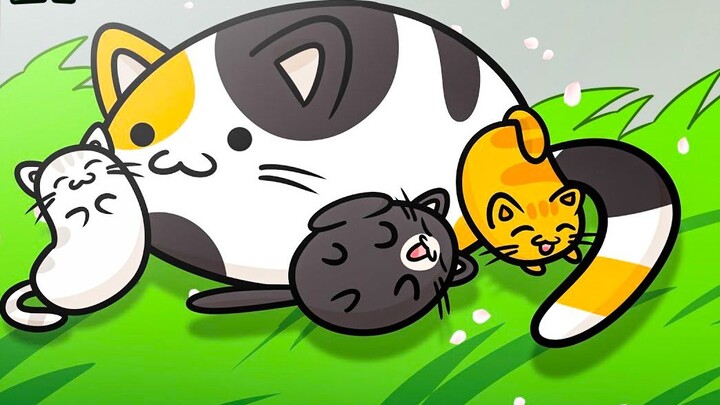 “Quá khứ của mèo” Không ngờ chú mèo của Lacy cũng có quá khứ bi thảm