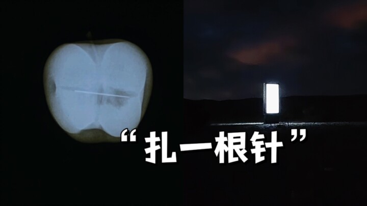 后续｜那个给苹果扎针的树上艺术家