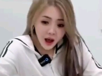 ป่า