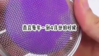 神奇十八秒