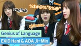 Genius of Language, EXID Hani & AOA Jimin!