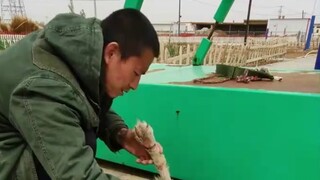 A man picked up a stray dog with paralyzed hind legs while riding his bicycle and took it through In