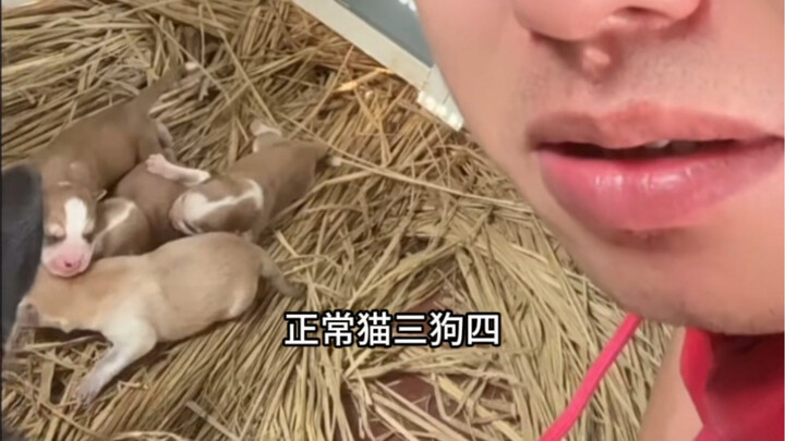 Let’s part on good terms.