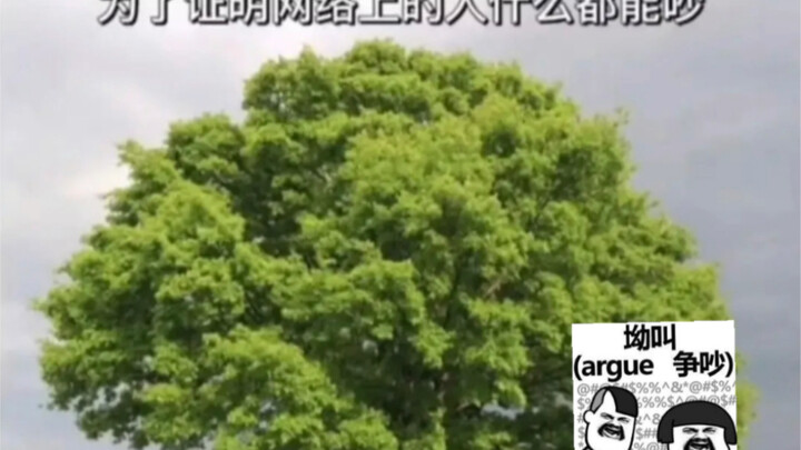 Mọi người trên Internet có thể tranh luận về bất cứ điều gì.