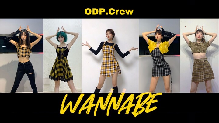 【ODP CREW】Màn cover nhóm trực tuyến tuyệt đẹp bài ITZY - WANNABE | JYP thấy cũng phải rơi nước mắt, 