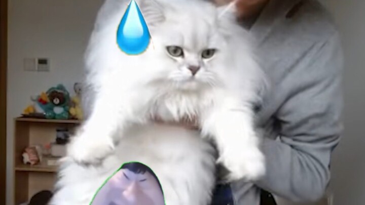 Nếu Đại Đầu muốn bắn điện cực