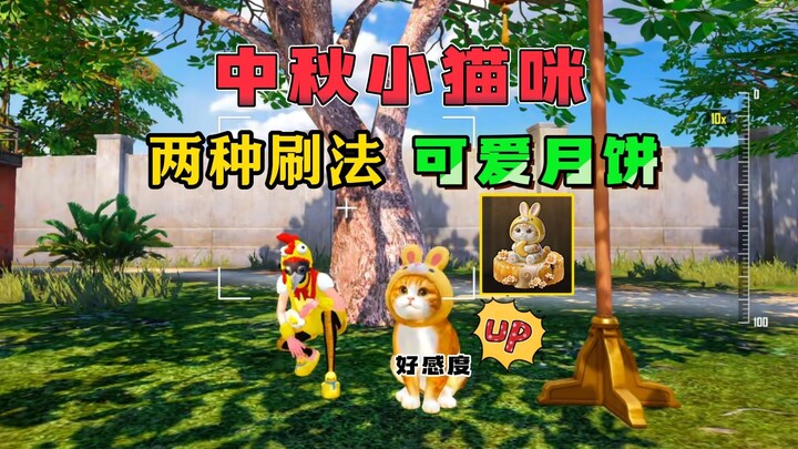 Tiga menit mengajarkan Anda cara membawa pulang kucing super imut “Dajin”!