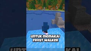 Rahasia Frost Walker