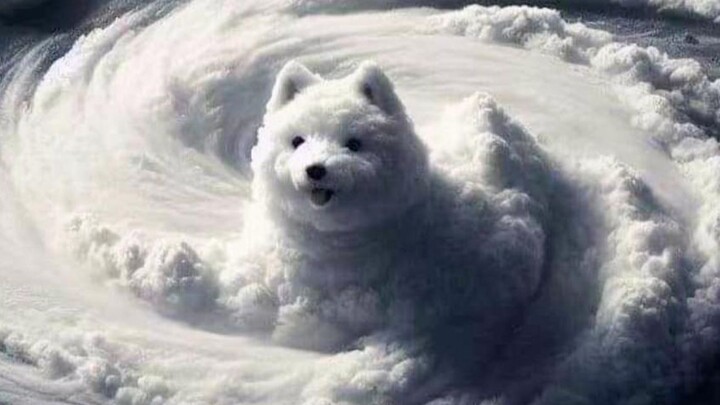 I heard this year’s typhoons look like this...