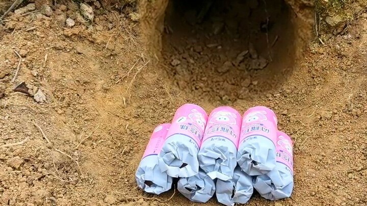 The Year of the Rabbit gives the rats a shot, wiping out the entire nest of rats. The scene is thril