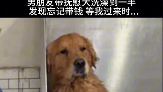 Comfort dog: My heart is broken