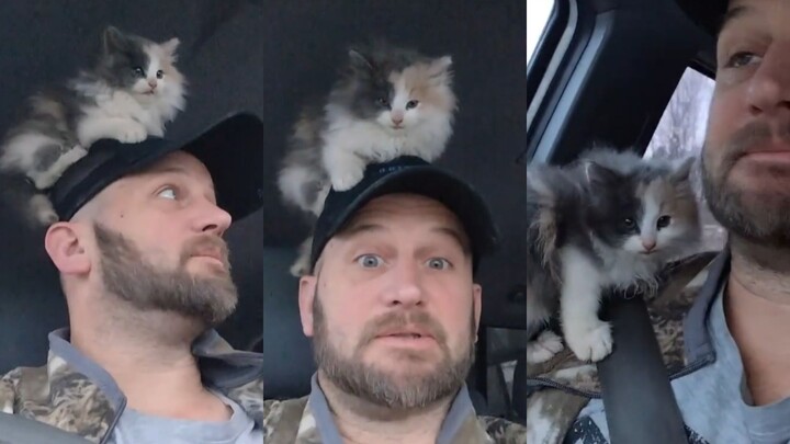 عثرتُ على هريرة صغيرة في يوم ثلجي على الطريق، ولم أعد بعد الآن وحشًا بلا قطط!