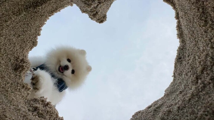 Buried under the sand by the little dog—but so happy!
