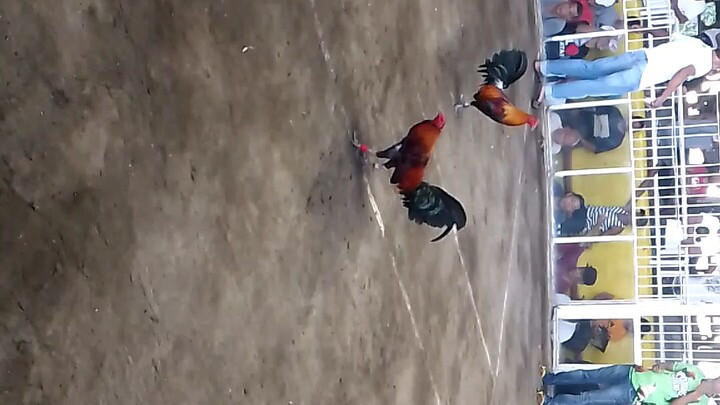 pangit man sa paningin..pero pumatay Ng gwapo,✌️win Tau dyan