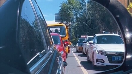 Traffic jam! This honking is seriously impressive…