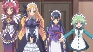 What does it feel like to have four maid wives!