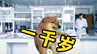 如果人类能活到1000岁！