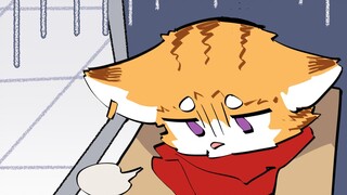 关于猫猫头那天到底说了什么.mp4