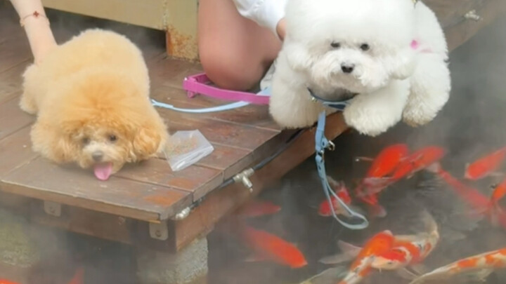 เพิ่งสังเกตเห็นสาวน่ารักแบบนี้ตอนย้อนดูวิดีโอ