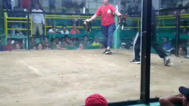 last fight draw