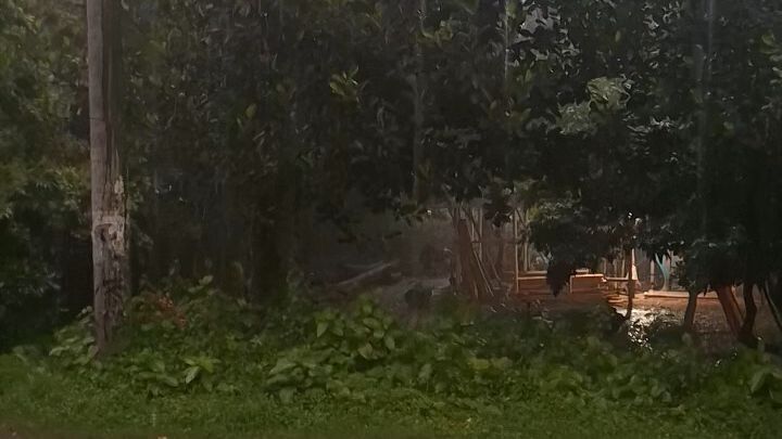 rain/ঈশ্বরদী