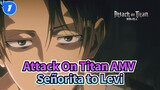 [Attack On Titan AMV / Synced-beat] Señorita to Levi - I'm Attracted By You_1