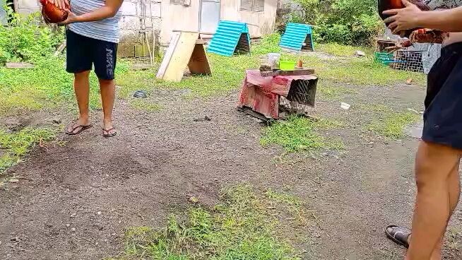 mag kapatid yan manga boss spar muna sila bladline redgoldgilmore