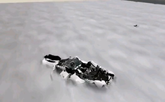 Car Crash Experiment Under Different Gravities