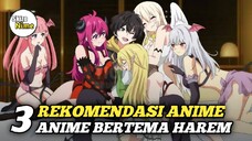 Rekomendasi Anime Harem Dengan Cerita Yang  Seru Dan Unik