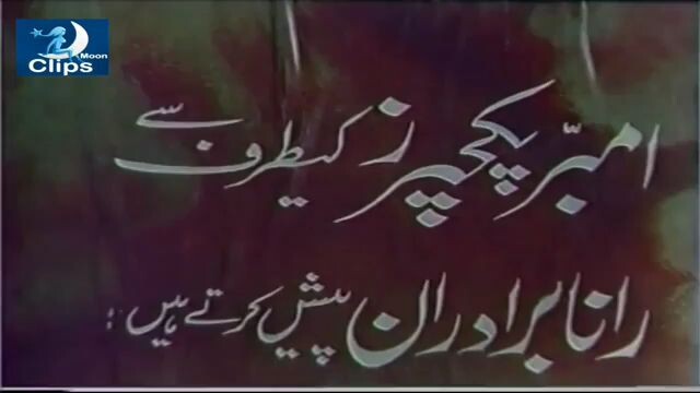 Sahab Jee Pakistani Punjabi movie 1981