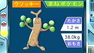 オーキド博士のポケモン講座(ウソッキー)