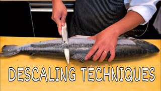 DESCALING OF SALMON USING YANAGIBA KNIFE